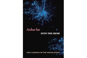 Into the Hush