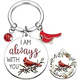 Cardinal Keychain Memorial Sympathy Gift - Red Cardinal Bird Key Ring, Remembrance Bereavement Gift for Loss of Loved One