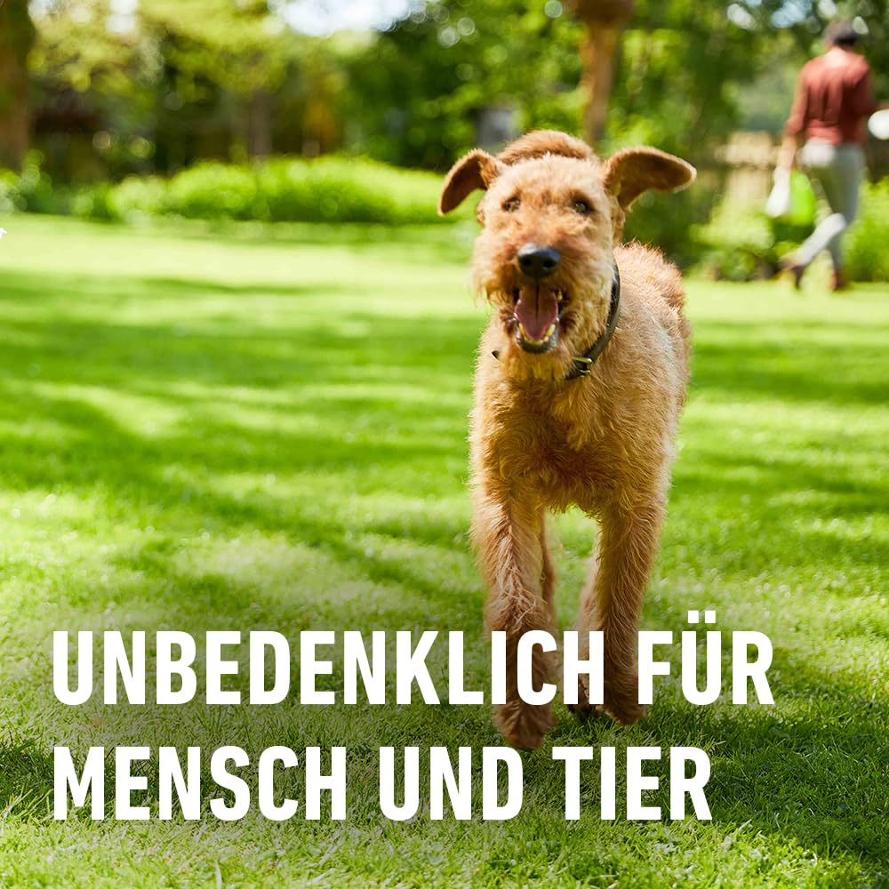 COMPO Rasendünger mit 3 Monaten Langzeitwirkung für Frühjahr und Sommer - tierfreundlich - Premium Rasen-Langzeitdünger - 20 kg für 800 m² - 20 kg für 800 m² 8