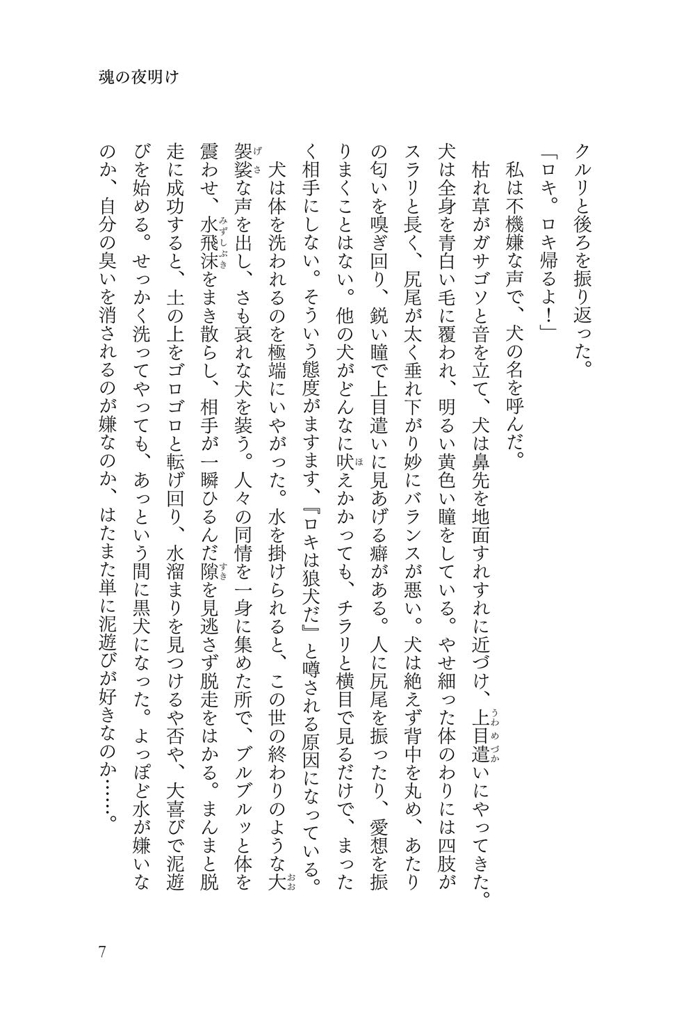 魂の夜明け 辻 麻里子 本 通販 Amazon