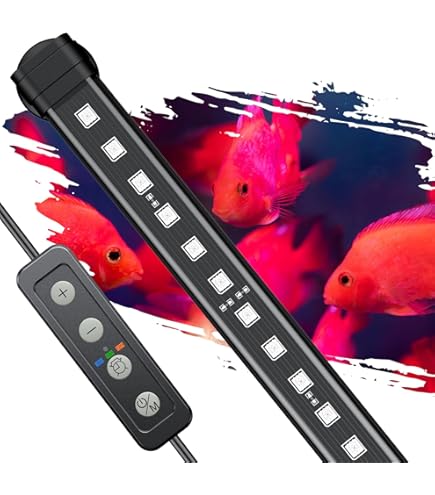Amazon.com : Mayin Arowana Tanning Light Aquarium Special