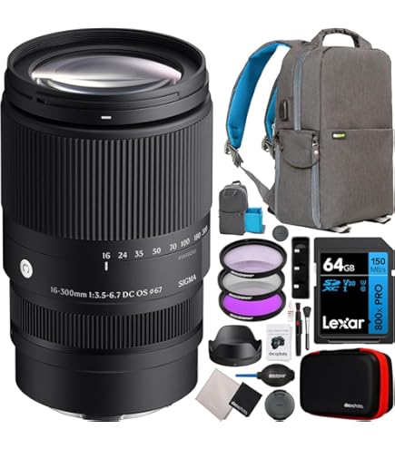 Amazon.com: Tamron Lente zoom todo en uno F/3.5-6.3 Di-II VC PZD