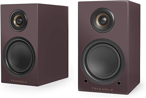 triangle active speakers