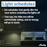 Shelly Plus 0-10V WiFi Smart Dimmer Switch Alexa Google Home No Hub view 4
