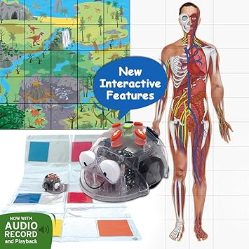 bee bot robot amazon