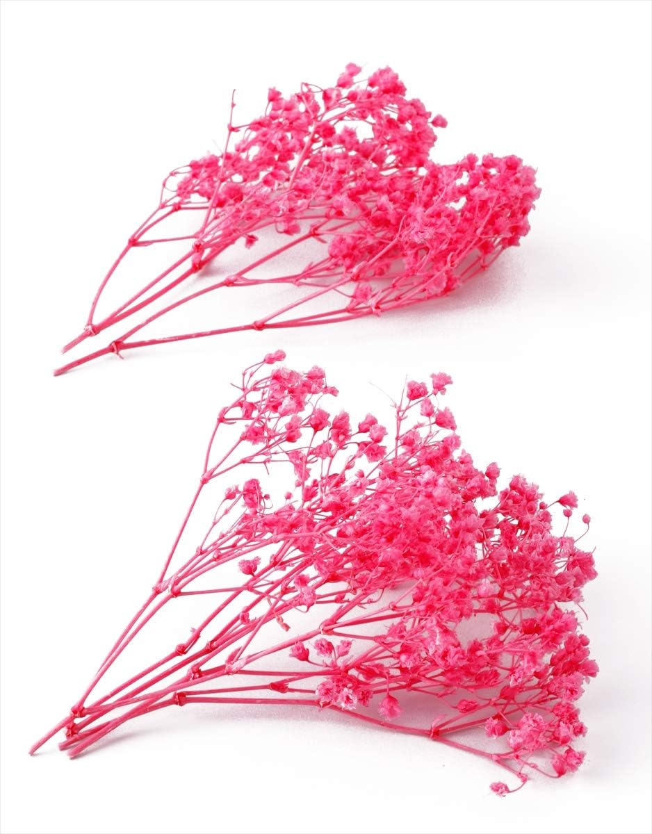 Amazon そらプリ プリザーブドフラワー カスミソウ ミリオンスター Hana Oil ハーバリウム用 大地農園 カスミソウミリオンスター プリンセスピンク プリザーブドフラワー オンライン通販