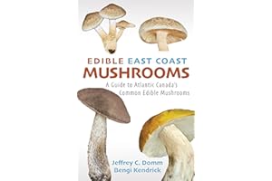 Edible East Coast Mushrooms: A Guide to Atlantic Canada's Common Edible Mushrooms
