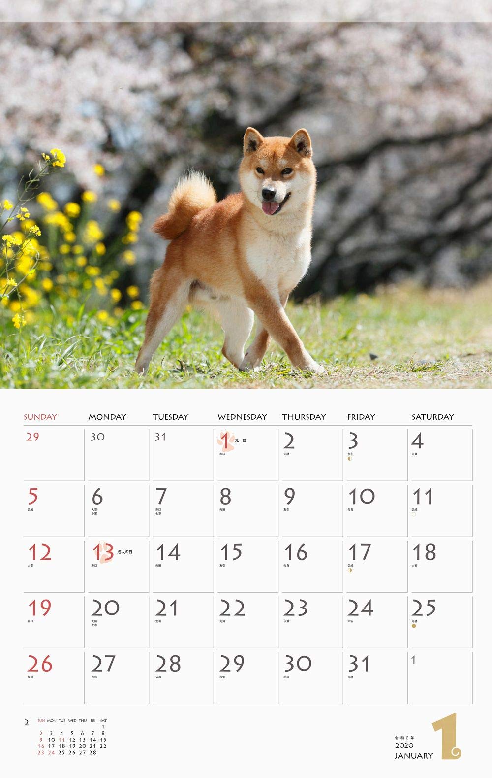 カレンダー 柴犬 ヤマケイカレンダー 福田 豊文 本 通販 Amazon