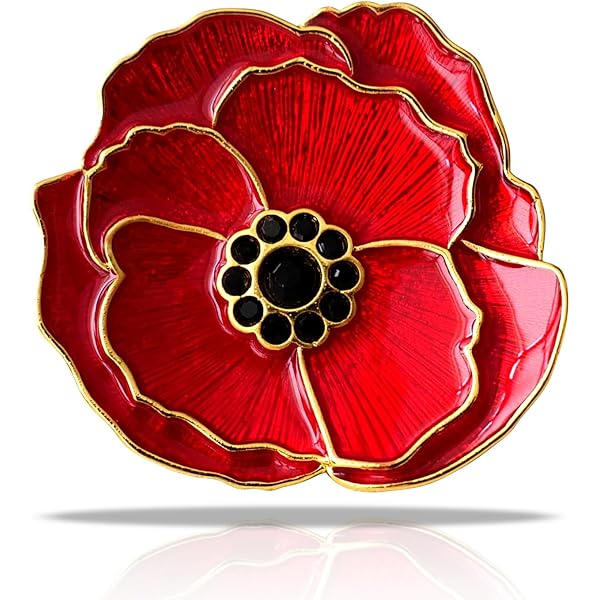 UWinnipeg campus closure in honour of Remembrance Day | University of