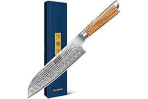 HOSHANHO Damascus Santoku Knife 7 Inch, Professional Japanese Damascus Super Steel Kitchen Knife, Cooking Knife with Durable 