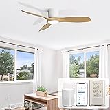 Sofucor 52 Inch Smart Ceiling Fan with