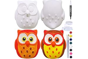 Winlyn 4 Sets DIY Ceramic Owls Figurines Paint Craft Kit Unpainted Bisque Ceramics Paintable Owls Ceramics Ready to Paint for Holiday at-Home Classroom DIY Craft Project