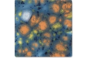 Mayco Jungle Gems Crystal Glaze - Koi Pond, Pint