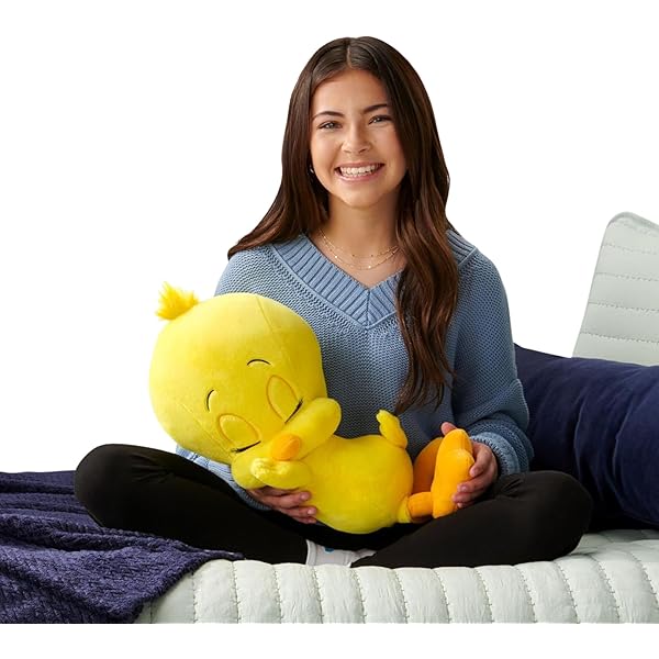 Amazon.com: Looney Tunes: Tweety Bird Plush Journal: 9798886634419