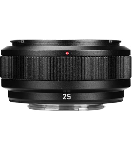 Amazon.com : Panasonic LUMIX G Lens, 14mm, F2.5 II ASPH