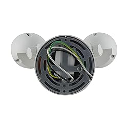 Satco 65/711 Dual Bullet-Head Security Flood