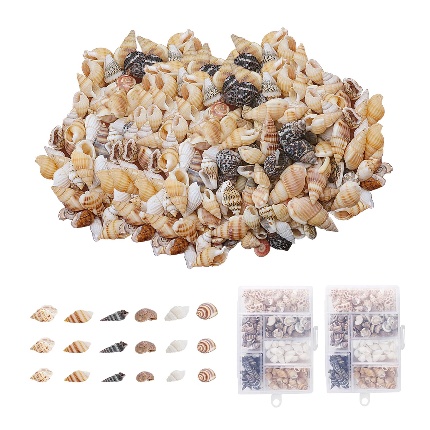 200 Pieces Shell Decoration, Aquarium Decoration Shells, Natural Shell Crafts, Exquisite Shell Decoration, Suitable for Water Tanks, Home Decoration and Crafts