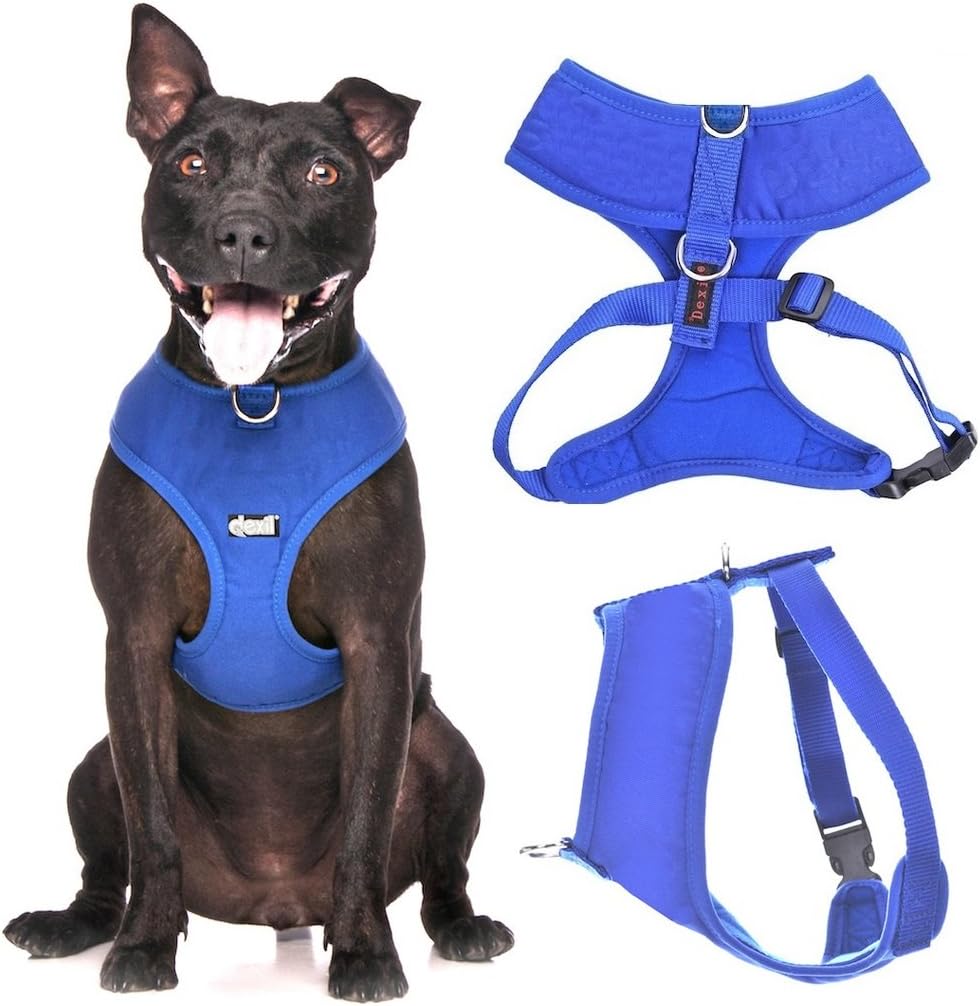 Dexil Elite Range Padded Waterproof Adjustable Back and Front Ring Non