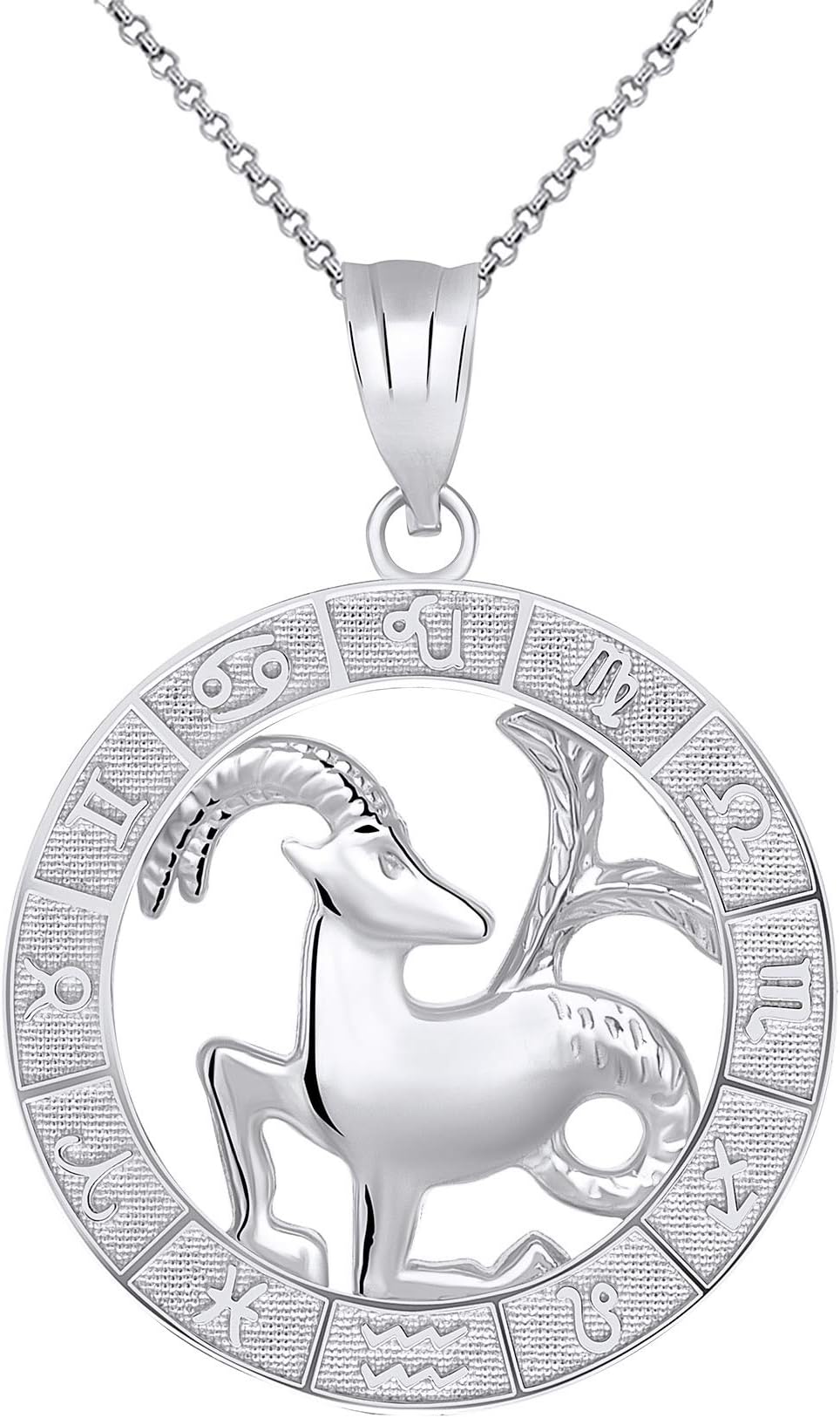 Sterling Silver Zodiac Pendant Necklace