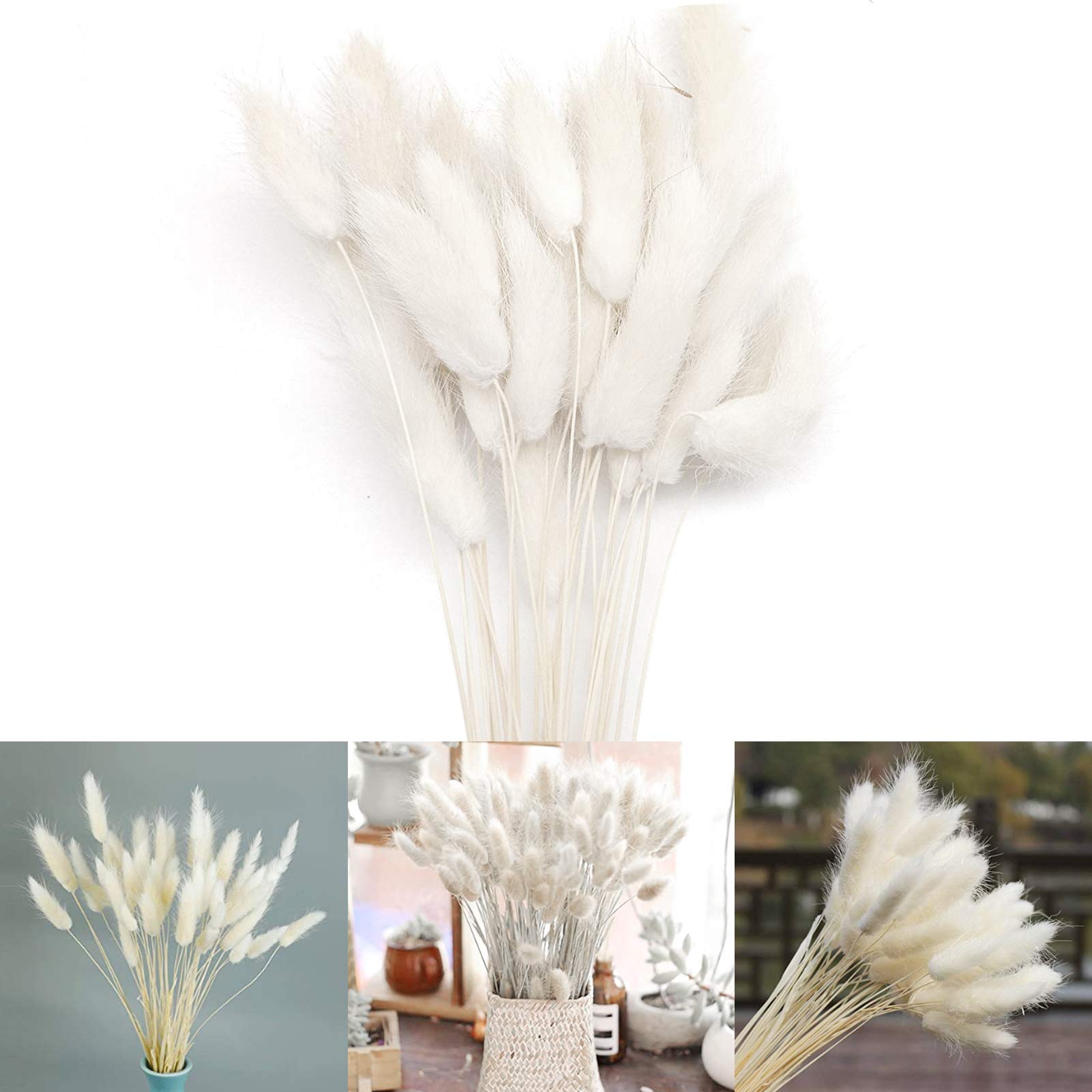 Buy Sunshine smile pampas grass nature,dried small pampas grass,pampas