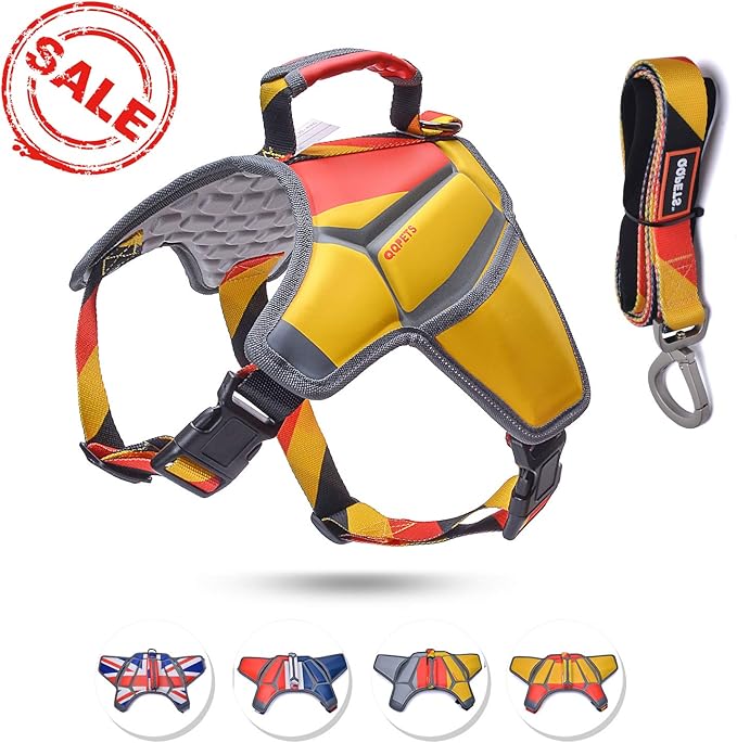 QQPETS Personalized Dog Harness set with a Matching Dog Lead for