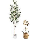 LuceAlberi 6FT Artificial Olive Tree - Indoor Tall Faux Olive Trees with Planter&Basket, Large Fake Olive Silk Tree Realistic Olive Plants with Branches and Fruits for Home Decor Office Living Room