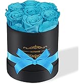 NATROSES 7 Piece Preserved Roses in a Box, Preserved Flowers for Birthday, Flower Gifts for Mothers Day (Blue)
