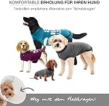 BellyGuard Recovery Suit for Dogs Post Op Spay Neuter Onesie view 2