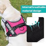Belababy Soft No Pull Dog Harness X Large Reflective Adjustable Rose view 3