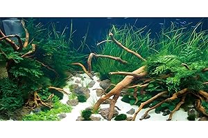 AWERT 48x24 inches Polyester Underwater Grass Plants Aquarium Background Aquatic Plants Stone River Bed and Dead Wood Stone Fish Tank Background