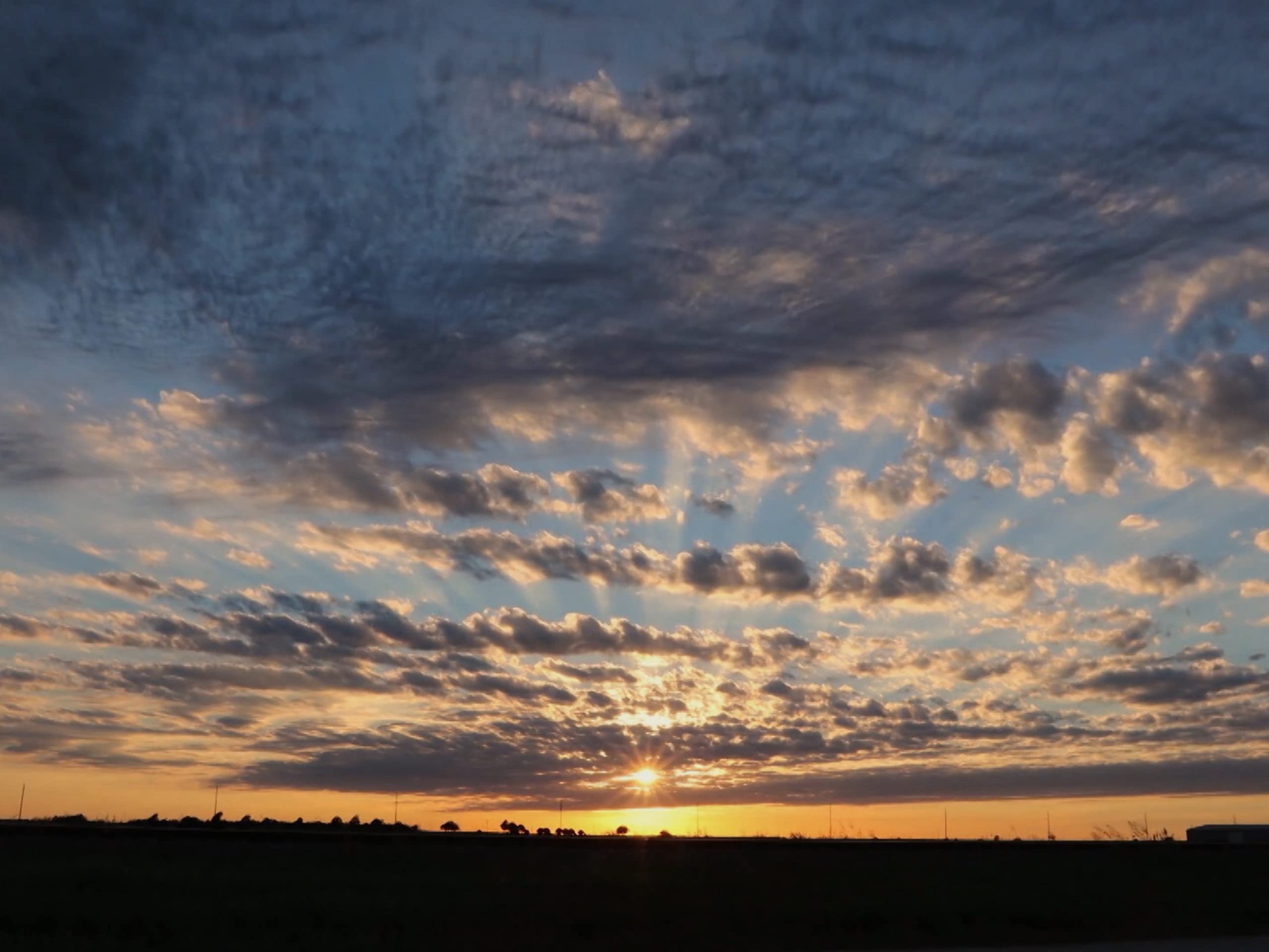 Watch City Confidential S7 Prime Video