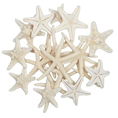 Jangostor 20 PCS 2-6 Inch Starfish Mixed Ocean Beach Starfish-Natural Colorful Seashells Starfish Perfect for Wedding Decor Beach Theme Party, Home Decorations,DIY Crafts, Fish Tank