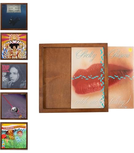 Amazon.com - Ilyapa Removable Vinyl Record Display Frame - 6 Pack