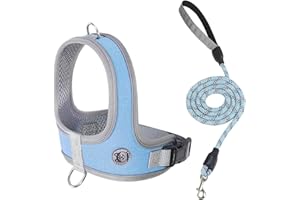 No Pull Dog Harness and Leash Set for Small Dogs, Breathable Mesh Adjustable Pet Vest with Reflective Strips Easy On Off Sadd