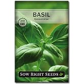 Sow Right Seeds - Genovese Sweet Basil Seed for Planting an Herb Garden | Grow Italian basil herb seeds outdoors or hydroponic garden indoors. Edible non-GMO heirloom variety for kitchen gardening.