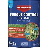 BioAdvanced Fungus Control for Lawns, Granules, 10 lb, Fungicide for Lawns | Cures and Prevents Lawn Diseases - Up to 1 Month Protection - Covers 5,000 Square Feet