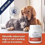Dorwest Herbs Scullcap & Valerian Calming Tablets for Dogs & Cats 100 Tablets view 5