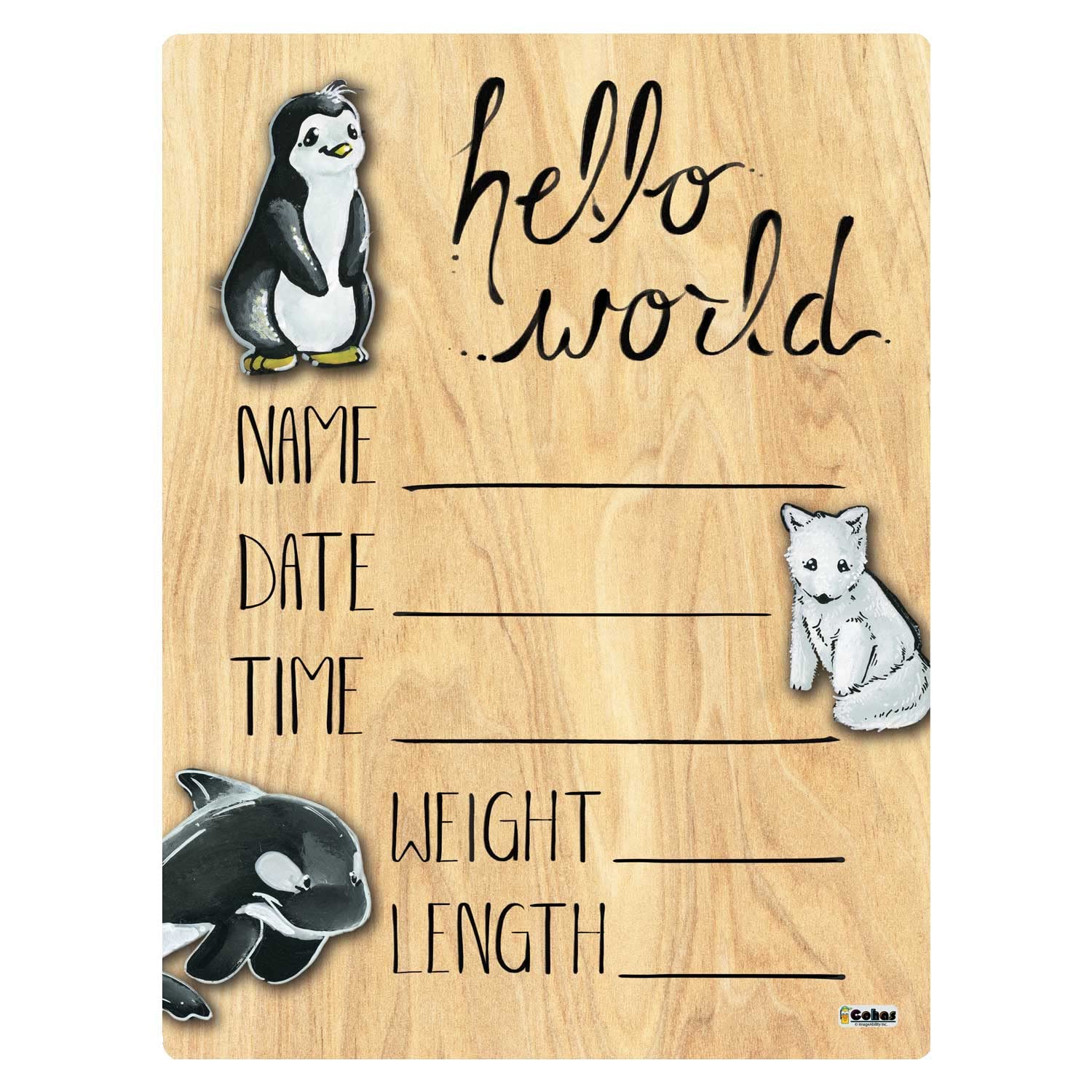 Cohas Hello World Newborn Baby Announcement Printed