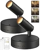 EZVALO Spotlights Indoor with Remote,5500mAh