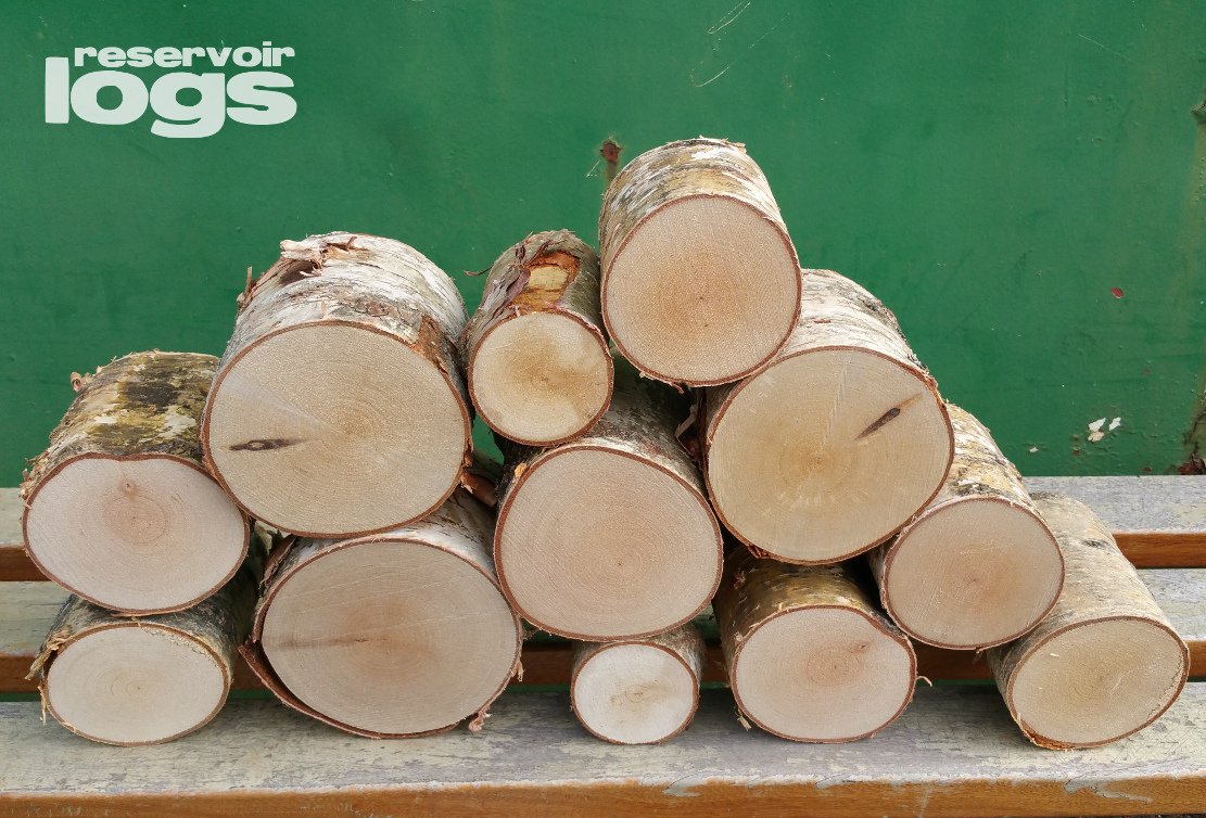 The Little Box Of Decorative Birch Logs 12cm Kiln Dried Full Round