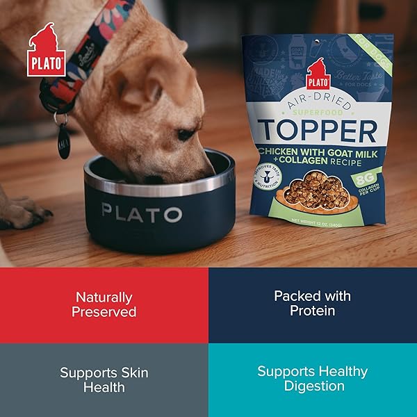 PLATO PET TREATS DOG FOOD TOPPERS – AIR-DRIED DOG FOOD TOPPERS FOR DRY FOOD – WITH COLLAGEN TO SUPPORT SKIN AND COAT HEALTH – GOAT MILK & COLLAGEN RECIPE 12OZ