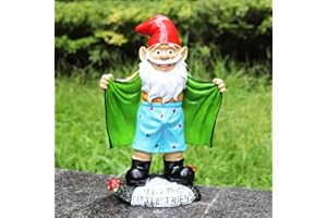 TIRIFER 8.3inch/21cm Big Size Garden Gnome, Polyresin Outdoor Sculpture Gnome Statue Garden Figurine Art Garden Decoration for Lawn Yard Balcony Porch Patio (Wizard in Green)