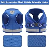 Anlitent Soft Mesh No Pull Cat Harness and Lead Set Blue Small view 7