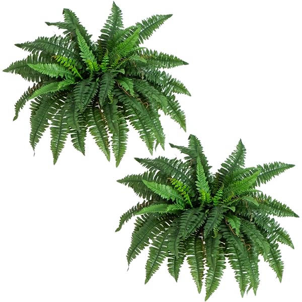 NEARLY NATURAL 40IN HANGING ARTIFICIAL BOSTON FERN PLANT SET OF 2 – REALISTIC FAUX GREENERY FOR INDOOR HOME, OFFICE, AND BATHROOM DECOR