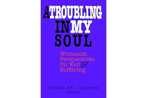 Troubling in my Soul: Womanist Perspectives on Evil and Suffering (Bishop Henry Mcneal Turner Book 8)