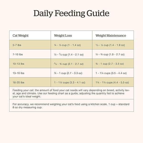 NOW FRESH GRAIN-FREE SENIOR DRY CAT FOOD WITH TURKEY, SALMON & DUCK, PREMIUM KIBBLE MADE WITH REAL POULTRY & FISH, CHICKEN-FREE RECIPE, SUPPORTS HEALTHY WEIGHT MANAGEMENT, 8 LB BAG
