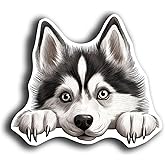 Dog Peeking Sticker Decals - 20 Pet Breeds - Cute Car Window and Bumper Stickers - 5 Inch Vinyl Waterproof Dog Lover Decals (Siberian Husky)