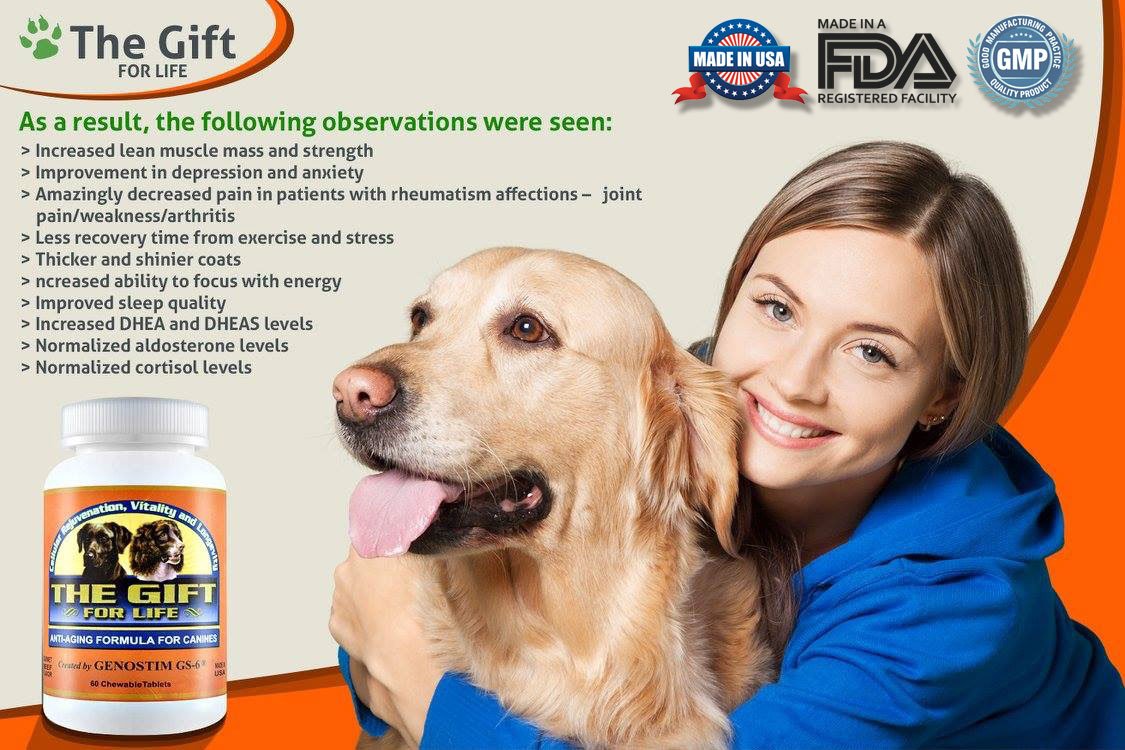 THE GIFT FOR LIFE Most Advanced AntiInflammatory Supplement for Dog