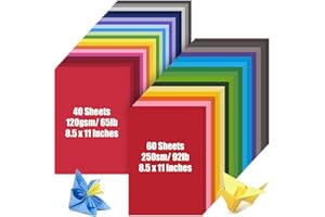 HEYPLACE 100 Sheets Colored Cardstock, Includes 40 Sheets 120gsm Card Stock and 60 Sheets 250gsm Lightweight Construction Paper, for DIY Crafts Scrapbook Making School Supplies, 8.5 x 11 Inches