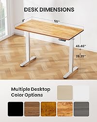 ErGear Height Adjustable Electric Standing Desk, 55
